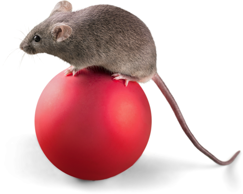 cartoon mickey mouse