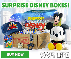 disney in a box