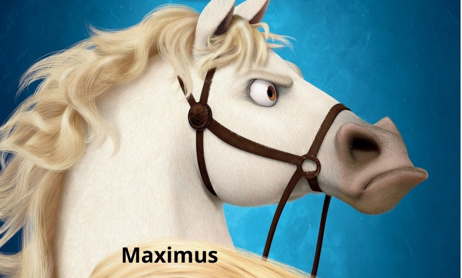 maximus from tangled