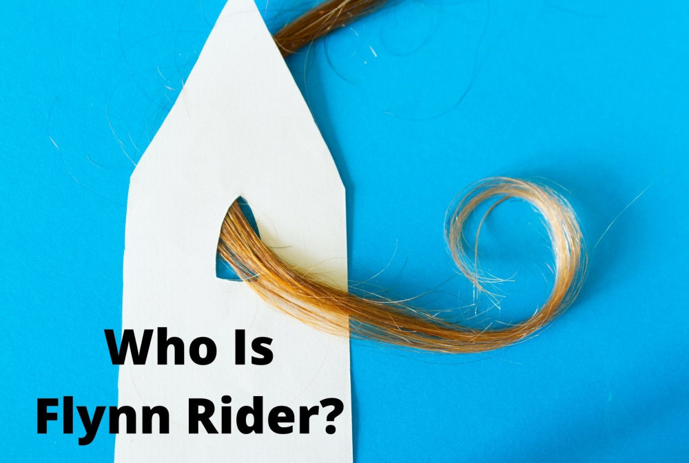 who is Flynn Rider